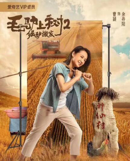 国产婷婷丁香久久综合